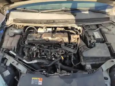 Veículo de Sucata ford focus berlina (cap) ambiente (d) do ano 2005 alimentado kkda