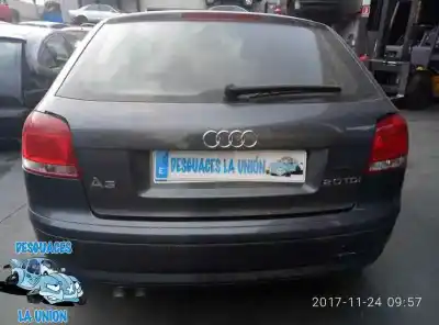 Veículo de Sucata audi a3 (8p1) 2.0 tdi 16v do ano 2003 alimentado 