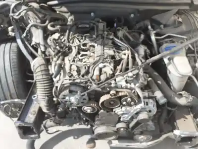 Scrapping Vehicle audi a4 berlina (b8) basis of the year 2015 powered cjcd