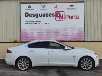 Scrapping Vehicle jaguar                                             xf                                                                                                                                                                                                                                                         3.0 v6 diesel luxury                                                                                                                                                                                                                                       of the year 2009 powered ajv6d