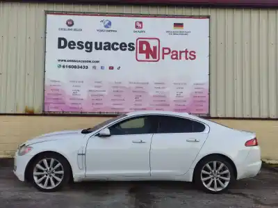 Scrapping Vehicle jaguar                                             xf                                                                                                                                                                                                                                                         3.0 v6 diesel luxury                                                                                                                                                                                                                                       of the year 2009 powered ajv6d