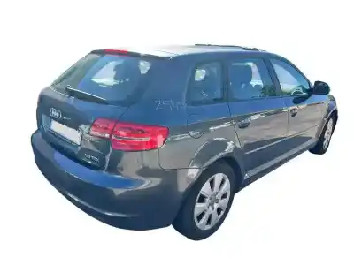 Sloopvoertuig audi a3 (8p) 1.9 tdi ambiente van het jaar 2009 aangedreven bls