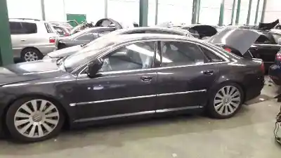 Scrapping Vehicle audi                                               a8 (4e)                                                                                                                                                                                                                                                    bfm                                                                                                                                                                                                                                                        of the year 2003 powered bfm