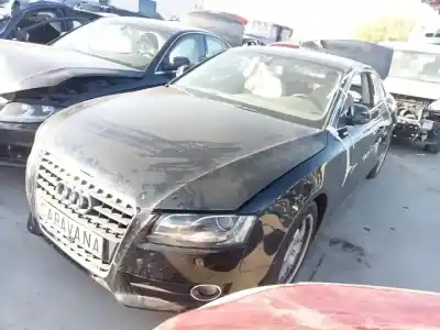 Veicolo di demolizione audi a5 coupe (8t) 2.7 tdi dell'anno 2008 alimentato cama