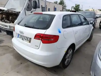 Veículo de Sucata audi a3 (8p) 1.6 tdi ambiente do ano 2011 alimentado cay