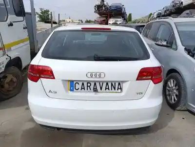Veículo de Sucata audi a3 (8p) 1.6 tdi ambiente do ano 2011 alimentado cay