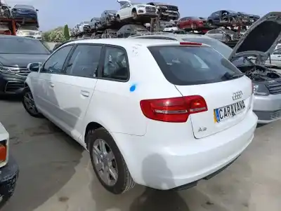 Veículo de Sucata audi a3 (8p) 1.6 tdi ambiente do ano 2011 alimentado cay
