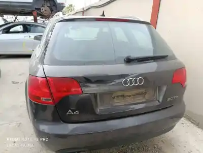 Veículo de Sucata audi a4 berlina (8e) 2.0 tdi 16v (103kw) do ano 2007 alimentado bpw