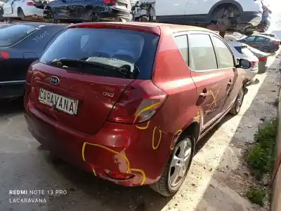 Scrapping Vehicle kia cee'd fastback (ed) 1.6 crdi 115 of the year 2010 powered d4fb