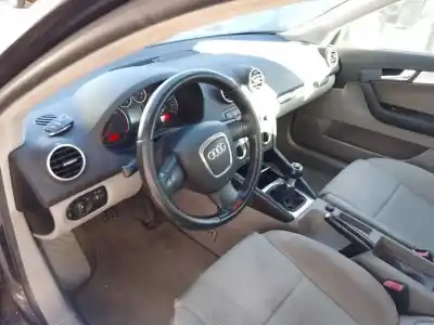 Здавання транспортного засобу audi a3 (8p1) 1.9 tdi року 0 потужний bls