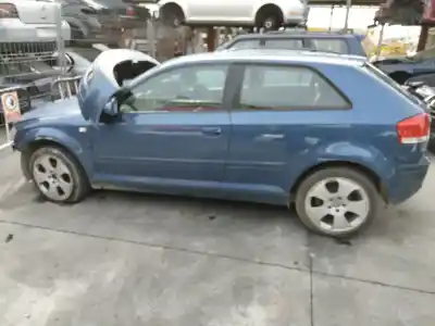 Veicolo di demolizione AUDI A3 (8P) 1.9 TDI Ambiente dell'anno 2007 alimentato BLS