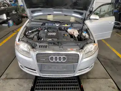 Scrapping Vehicle audi a4 berlina (8e) 2.0 tdi 16v (103kw) of the year 2007 powered bpw