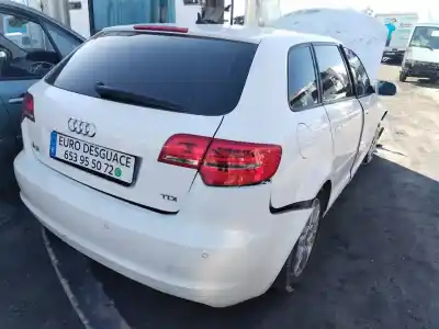 Veículo de Sucata audi a3 (8p) 1.6 tdi ambiente do ano 2012 alimentado cay