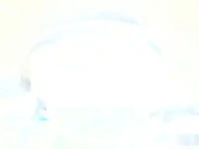 Veicolo di demolizione peugeot 307 (3a/c) 2.0 hdi 110 dell'anno 2003 alimentato rhs