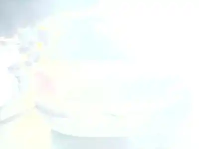 Veicolo di demolizione peugeot 307 (3a/c) 2.0 hdi 110 dell'anno 2003 alimentato rhs