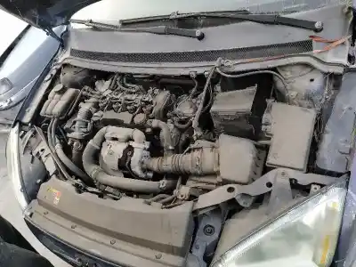 Veículo de Sucata ford focus berlina (cap) ambiente (d) do ano 2005 alimentado hhda