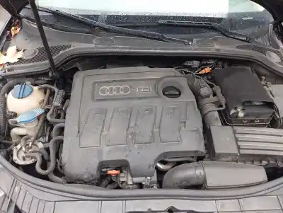 Утилизация автомобиля audi a3 (8p) 1.6 tdi ambiente года 2010 питание cayc