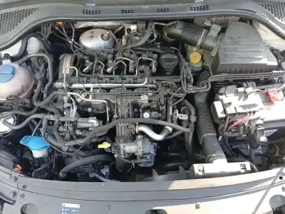 Scrapping Vehicle skoda rapid (nh) (07.2012->) 1.6 active [1.6 ltr. - 77 kw tdi dpf] of the year 2013 powered cay