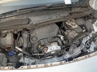 Scrapping Vehicle ford transit connect furgon 200 l1 ambiente of the year 2019 powered z2ga