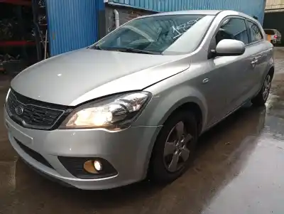 Veicolo di demolizione kia pro_ceed drive 90 cv / 66 kw dell'anno 2013 alimentato d4fbl