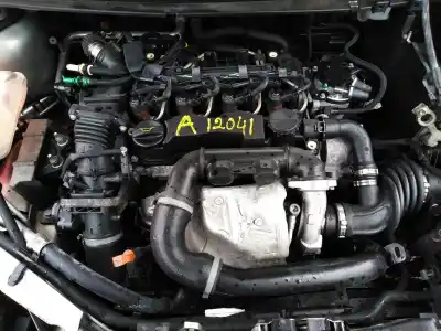 Sloopvoertuig ford focus lim. (cb4) business van het jaar 2009 aangedreven hhda