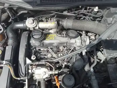 Scrapping Vehicle audi a3 (8l) 1.9 tdi of the year 2002 powered asv