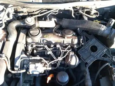 Veículo de Sucata VOLKSWAGEN GOLF IV (1J1) 1.9 TDI do ano 2002 alimentado ASV