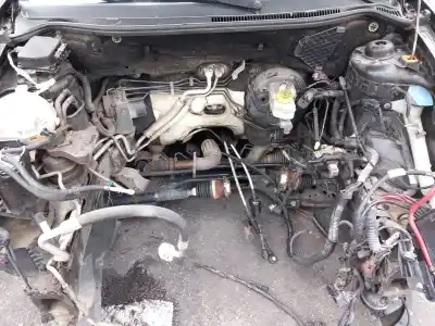 Scrapping Vehicle SEAT CORDOBA (6L2) 1.9 SDI of the year 2004 powered ASY