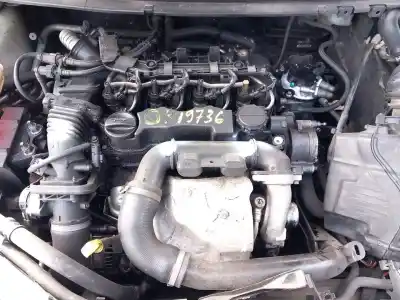 Scrapping Vehicle ford focus ii (da_, hcp, dp) 1.6 tdci of the year 2010 powered gpda,gpdb,gpdc,hhda,hhdb