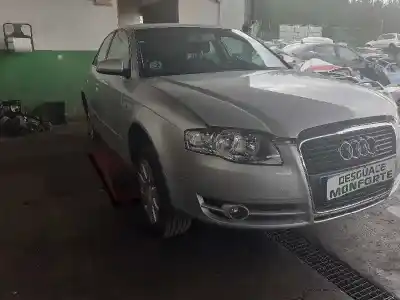 Scrapping Vehicle audi a4 berlina (8e) 2.0 tdi 16v (103kw) of the year 2005 powered blb