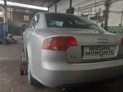 Scrapping Vehicle audi a4 berlina (8e) 2.0 tdi 16v (103kw) of the year 2005 powered blb