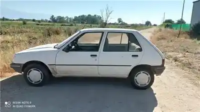 Scrapping Vehicle PEUGEOT 205 SR  of the year 1991 powered G-1G1E