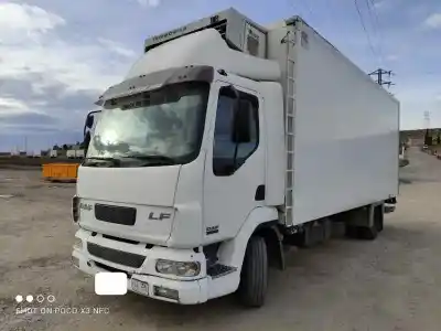 Scrapping Vehicle DAF                                                SERIE LF45 DESDE 01                                                                                                                                                                                                                                        5.9 Diesel                                                                                                                                                                                                                                                 of the year 2003 powered CE162C