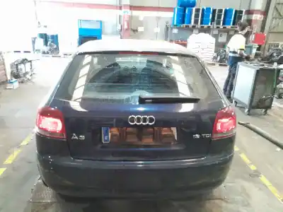 Scrapping Vehicle audi a3 (8p) 1.9 tdi ambiente of the year 2004 powered bkc