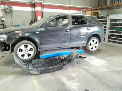 Veículo de Sucata audi a3 (8p1) 2.0 tdi 16v do ano 2005 alimentado bkd