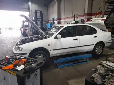 Veicolo di demolizione nissan primera (p11) 1.6 16v dell'anno 1998 alimentato ga16