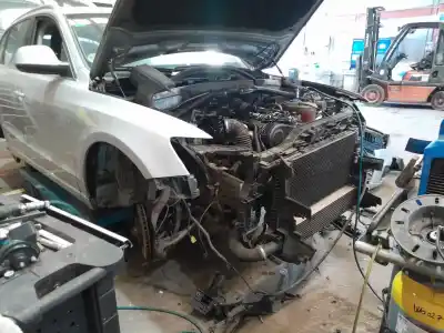 Scrapping Vehicle audi q5 (8rb) 2.0 tdi quattro of the year 2010 powered cjca