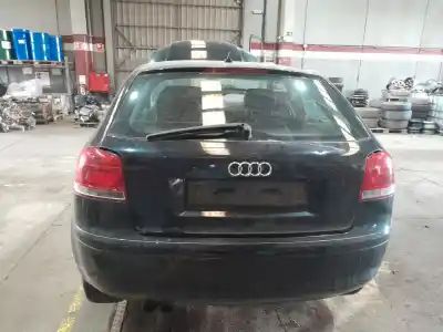 Veículo de Sucata audi a3 (8p1) 2.0 tdi do ano 2007 alimentado bmn