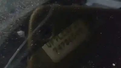 Veicolo di demolizione citroen c4 berlina exclusive dell'anno 2007 alimentato rfjew10a