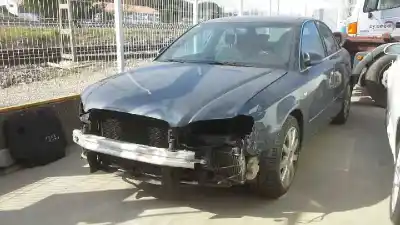 Scrapping Vehicle AUDI A4 BERLINA (8E) 2.0 TDI 16V (103kW) of the year 2007 powered BRE