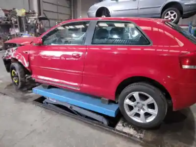 Veículo de Sucata audi a3 (8p) 1.6 102 cv / 75 kw do ano 2006 alimentado bse