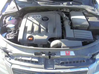 Scrapping Vehicle audi a3 (8p) 2.0 tdi ambiente of the year 2005 powered bkd Scrapping Vehicle audi a3 (8p) 2.0 tdi ambiente of the year 2005 powered bkd
