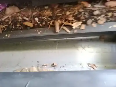 Veicolo di demolizione ford tourneo connect 1.8 tdci dell'anno 2009 alimentato rwpa