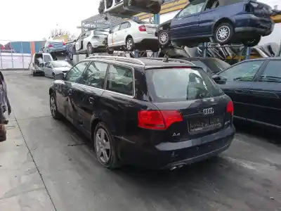 Scrapping Vehicle audi a4 b7 avant (8ed) 2.0 tdi of the year 2007 powered bpw