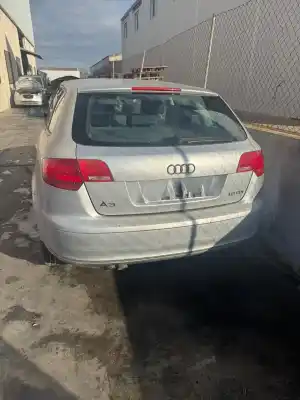 Veículo de Sucata audi a3 (8p1) 1.9 tdi do ano 2007 alimentado bxe