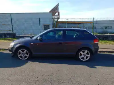 Scrapping Vehicle audi a3 (8p1) 2.0 tdi 16v of the year 2001 powered bkd