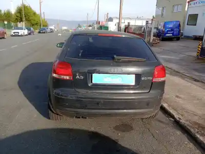 Scrapping Vehicle audi a3 (8p1) 2.0 tdi 16v of the year 2009 powered bkd