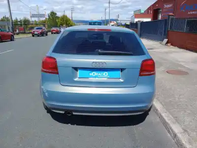 Veicolo di demolizione audi a3 (8p) 1.6 tdi ambiente dell'anno 2011 alimentato cay