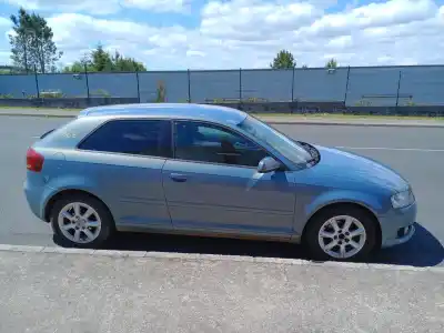 Veicolo di demolizione audi a3 (8p) 1.6 tdi ambiente dell'anno 2011 alimentato cay