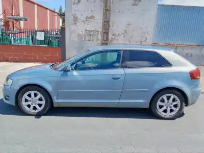 Veicolo di demolizione audi a3 (8p) 1.6 tdi ambiente dell'anno 2011 alimentato cay